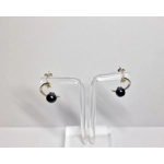 Moon's Light Earrings