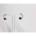 Moon's Light Earrings