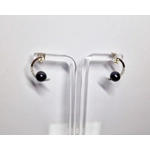 Moon's Light Earrings