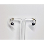 Moon's Light Earrings