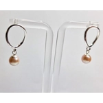 Oval Wave Earrings