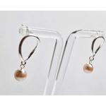 Oval Wave Earrings