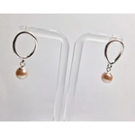 Oval Wave Earrings
