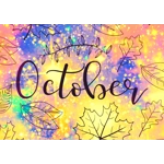 Knot - October Deal 2021