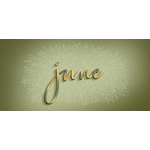 Infinity Bloom - June Deal 2021