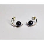 Moon's Light Earrings