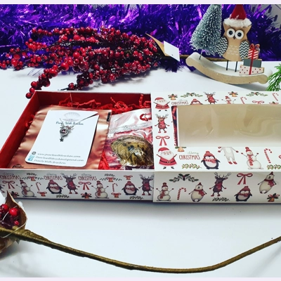 Open At Home - Christmas Cage Pendant