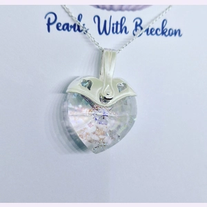 Holographic Warrior - Tradit..