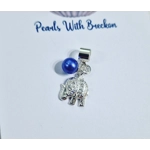 Elephant - August 2022