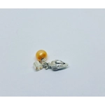 Shell's Treasure Charm