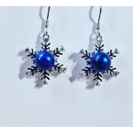 Icy Touch Earrings