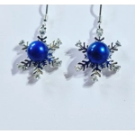 Icy Touch Earrings