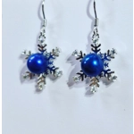 Icy Touch Earrings
