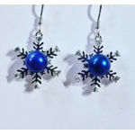 Icy Touch Earrings