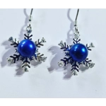 Icy Touch Earrings