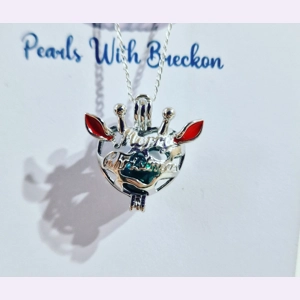 Reindeer Ear's Cage Pen..