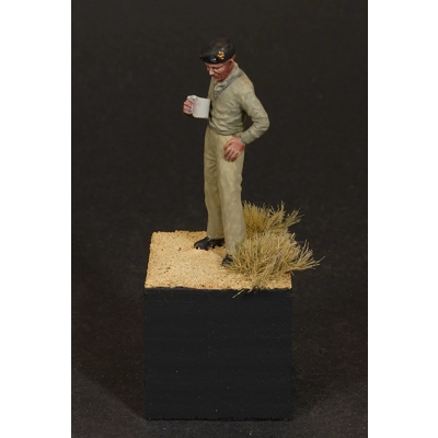 Field Marshal Montgomery of British Army WWII