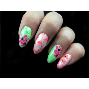 Dixie Plates Summer 01