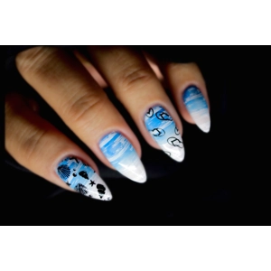 Dixie Plates Summer 01