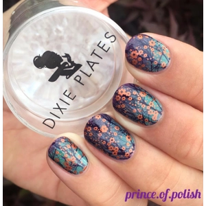 Dixie Plates + Sarah R Collab