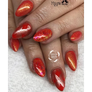 Dixie Plates + Sarah R Collab