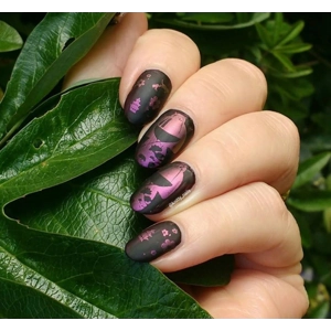 Dixie Plates + Sarah R Collab