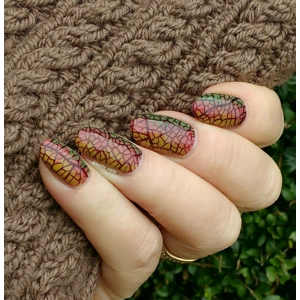 Dixie Plates Autumn 01