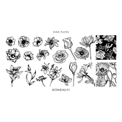 Dixie Plates Botanicals..