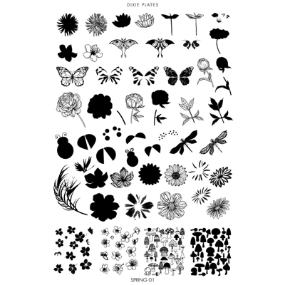 Dixie Plates Spring 01 ..