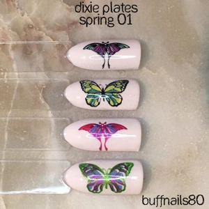 Dixie Plates Spring 01 Plate