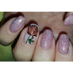 Dixie Plates Spring 01 Plate