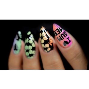 Dixie Plates Summer 02 Plate