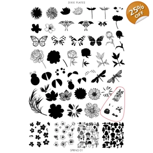 NQR - Dixie Plates Spring 01 Plate