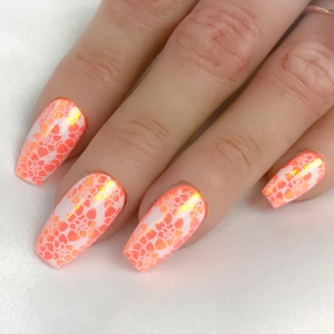 Dixie Plates Mega Mani Mix 02 Plate