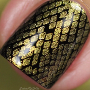 Dixie Plates Mega Mani Mix 02 Plate