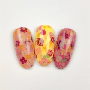 Daisy Dream Nail Art Foil - 1 Meter