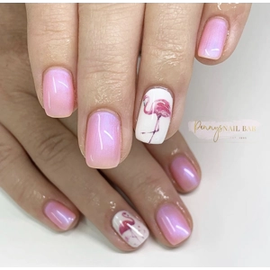 Flamingo Fever Water Decals