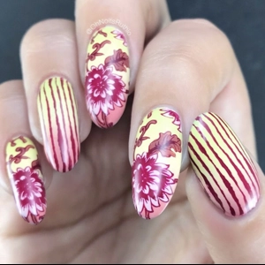 Dixie Plates Mega Mani Mix 04 Plate