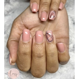 Dixie Plates Mega Mani Mix 04 Plate