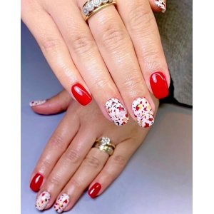 Dixie Plates Textures & Patterns 01