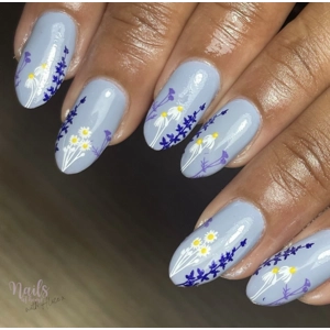 Dixie Plates Spring 05 Plate