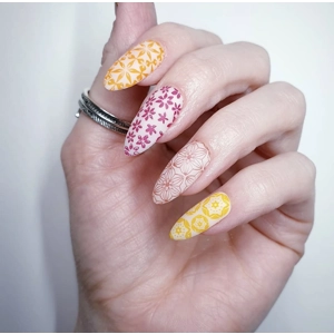 Dixie Plates Mega Mani Mix 05 Plate