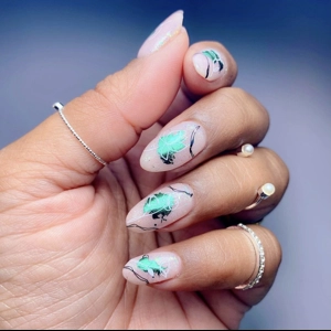 Dixie Plates Spring 04 Plate