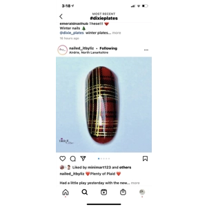 NOT QUITE RIGHT Dixie Plates Plenty of Plaid Mini Plate