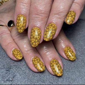 Dixie Plates Mega Mani Mix 05 Plate