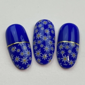 *** NEW *** Daisy Field Nail Art Foil - 1 Meter