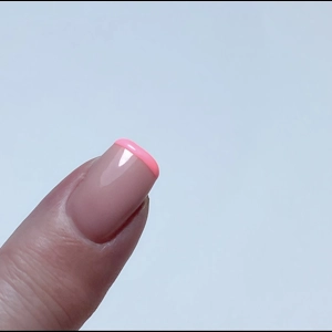 Dixie Plates Perfect Frenchie Stamper