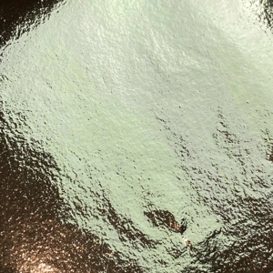 Retro Gold Metallic Leaf