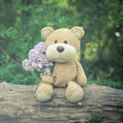 Soft Cotton Teddy Bear