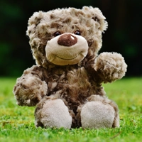 Warm-up Brown Bear